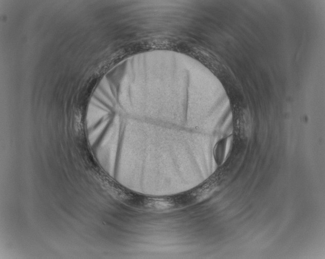 X0000062610610200601181631