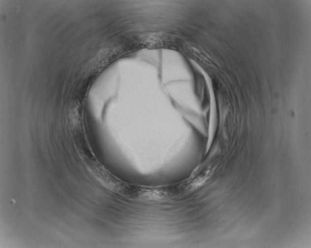 X0000062610611200601181631