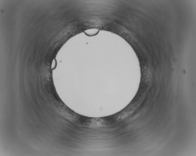 X0000062610612200601181631