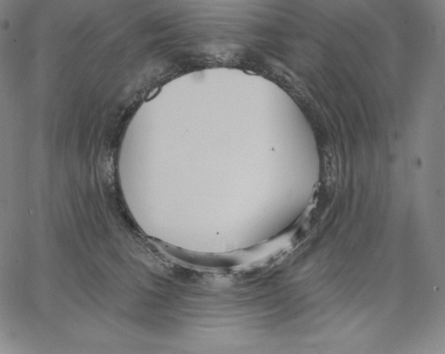 X0000062610613200601181631