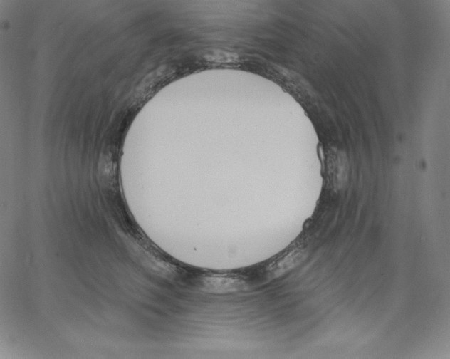 X0000062610614200601181631