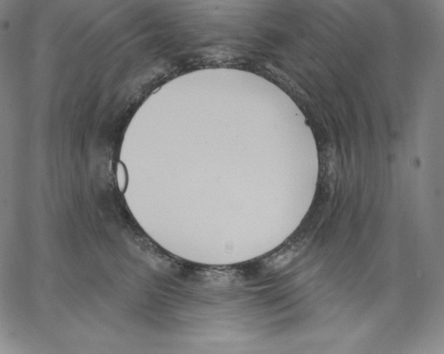 X0000062610615200601181631