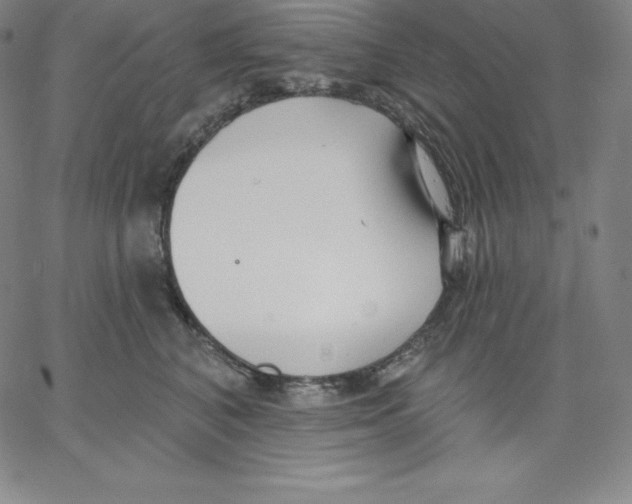 X0000062610616200601181631