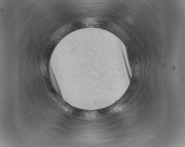 X0000062610618200601181631