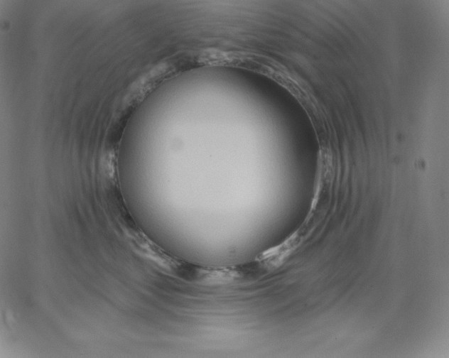 X0000062610621200601181631