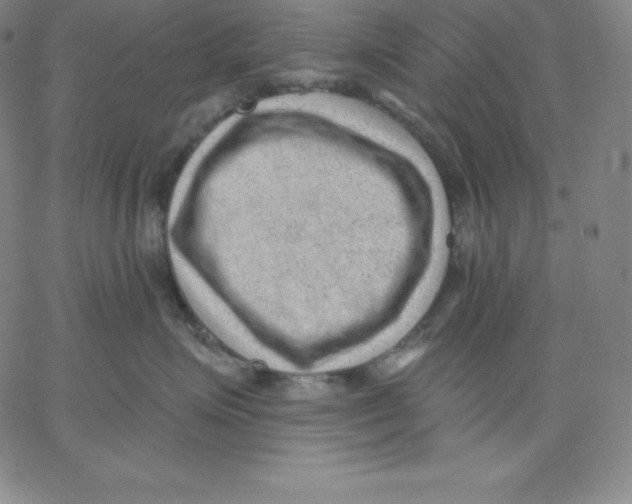 X0000062610623200601181631