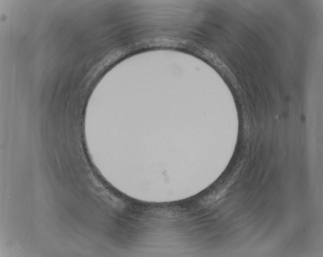 X0000062610625200601181630