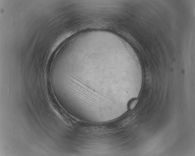 X0000062610626200601181630