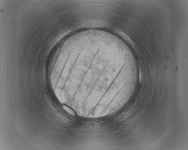 X0000062610627200601181630