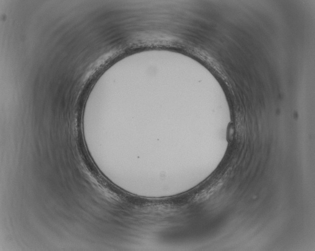 X0000062610629200601181630