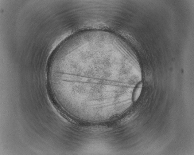 X0000062610630200601181630