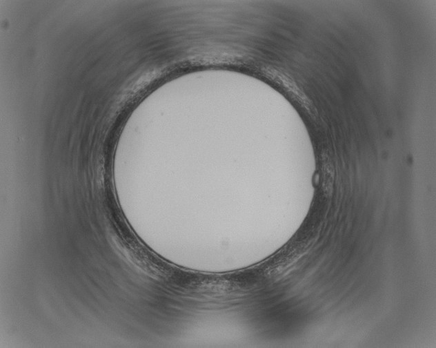 X0000062610631200601181630