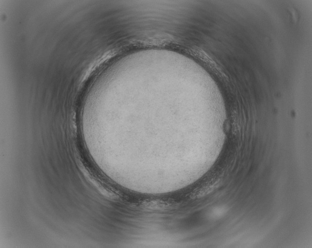 X0000062610634200601181630