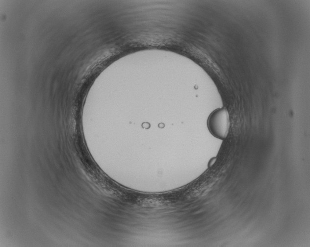 X0000062610635200601181630