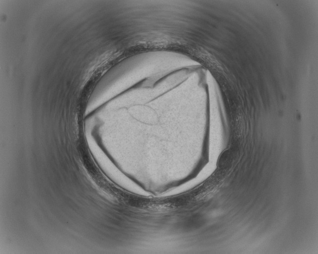 X0000062610638200601181630