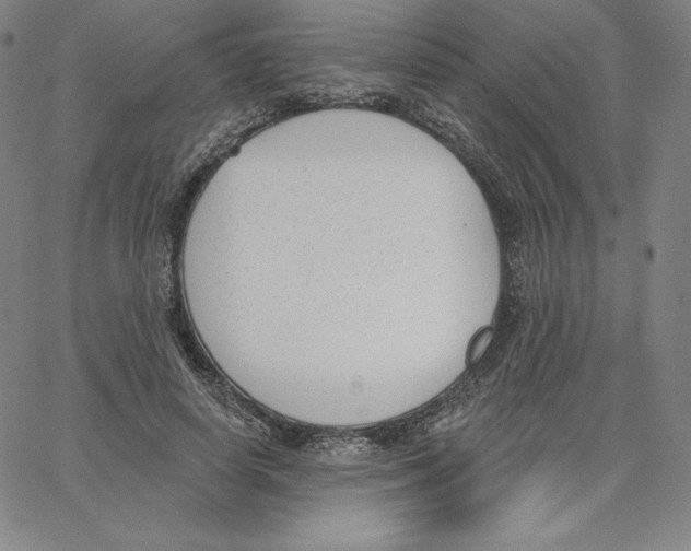 X0000062610642200601181630