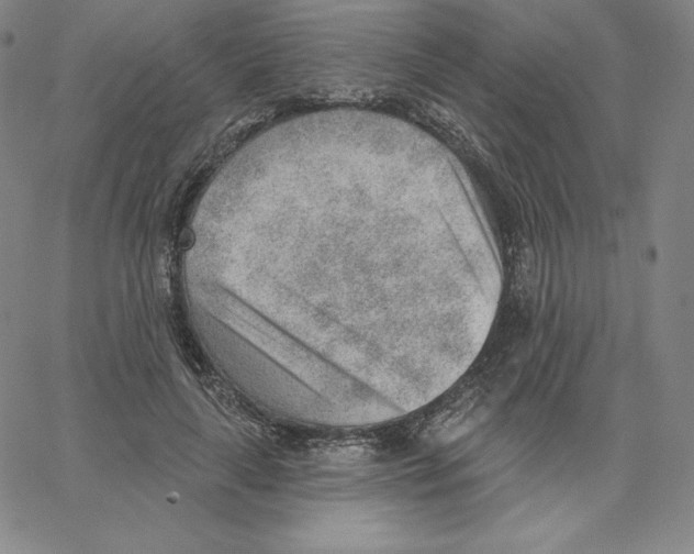 X0000062610643200601181630