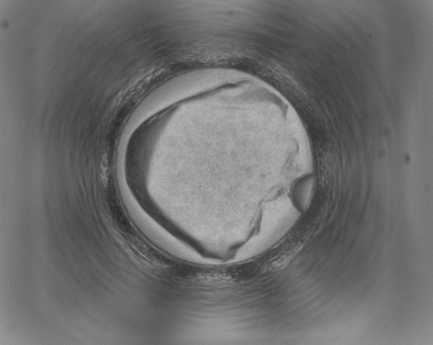 X0000062610644200601181630