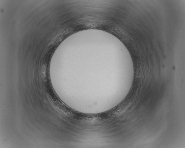 X0000062610646200601181630