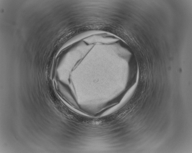 X0000062610647200601181630