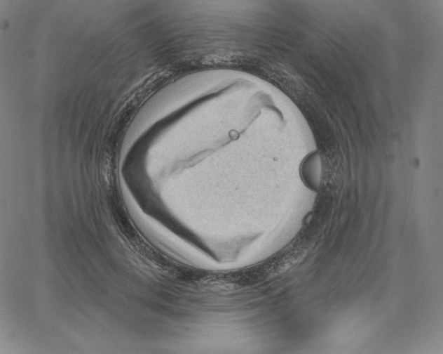 X0000062610648200601181630