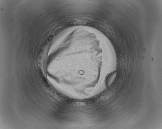 X0000062610649200601181630