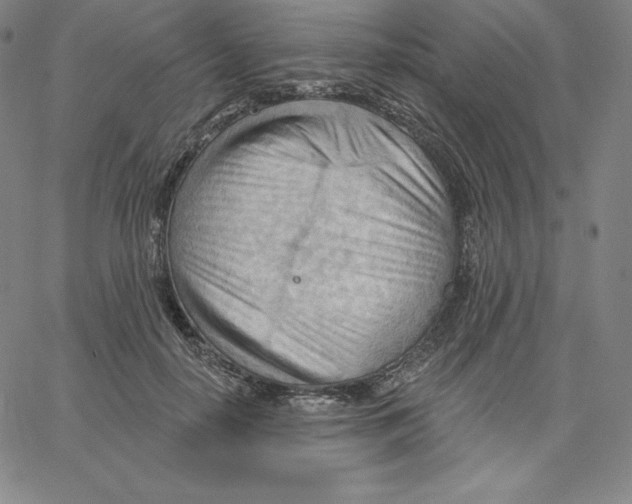 X0000062610650200601181630