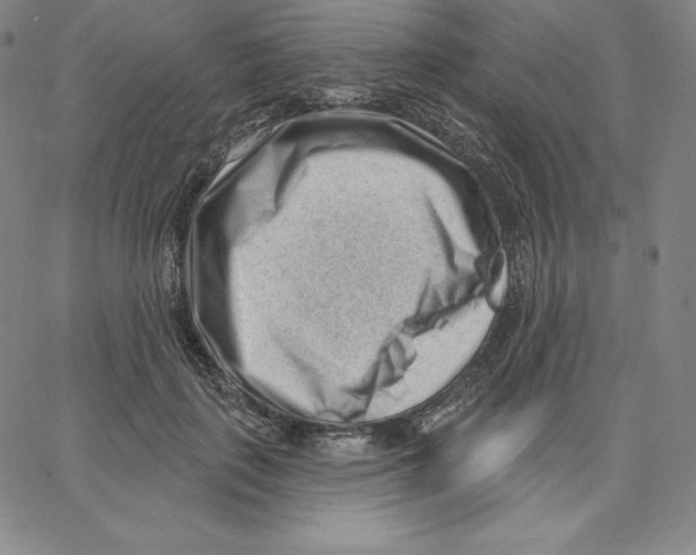 X0000062610651200601181630