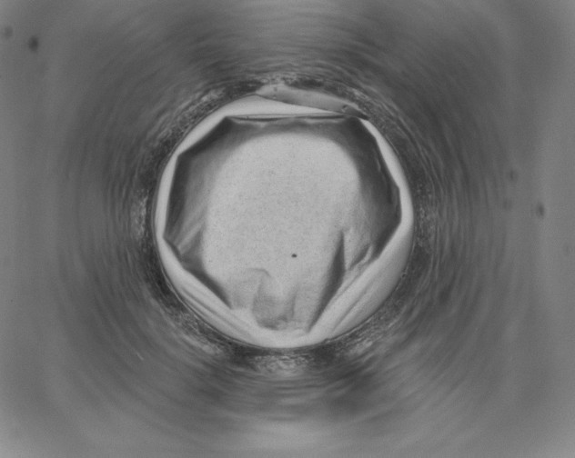 X0000062610652200601181630