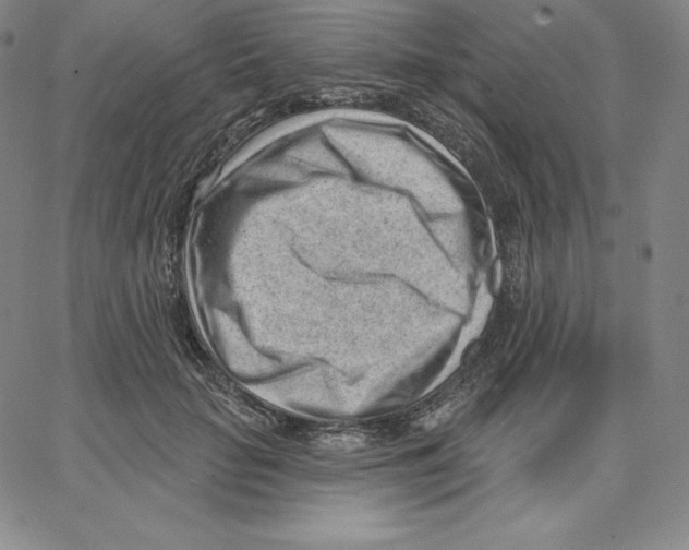 X0000062610653200601181630