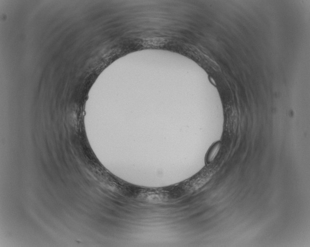 X0000062610655200601181630