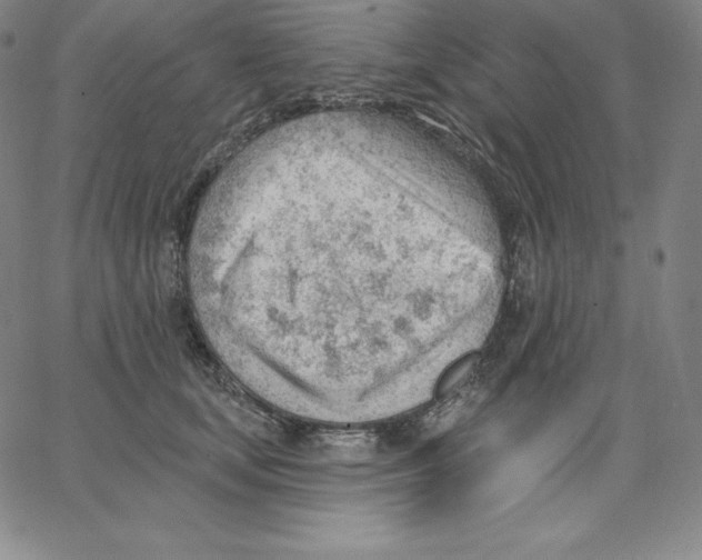 X0000062610659200601181631