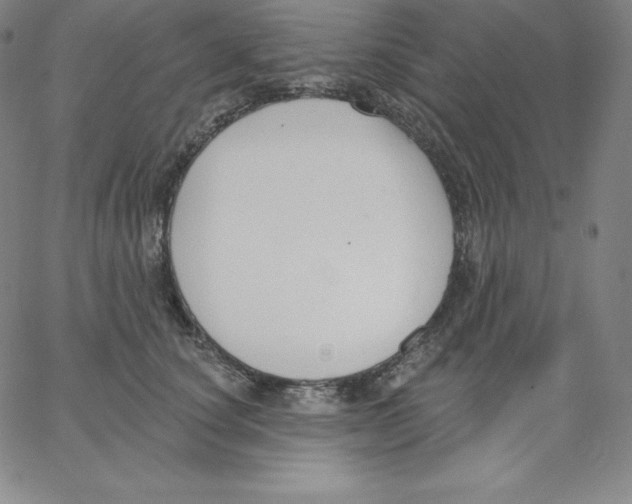 X0000062610660200601181631