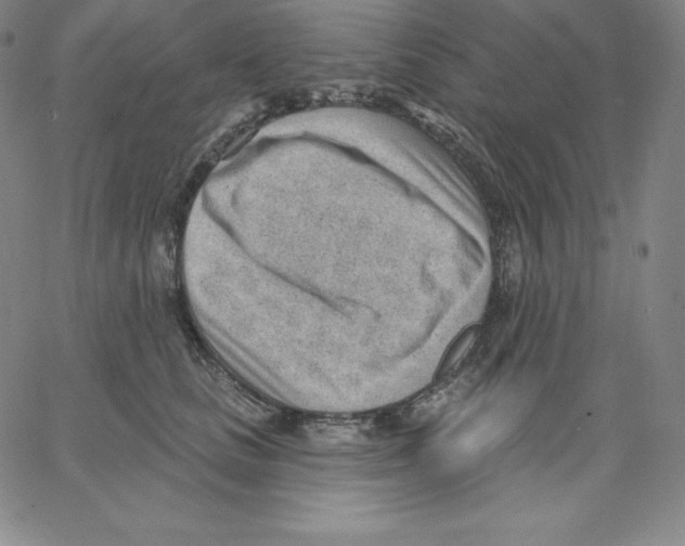 X0000062610661200601181631