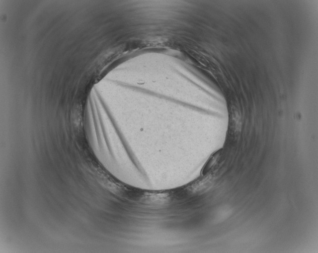 X0000062610665200601181631