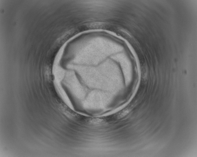 X0000062610669200601181631