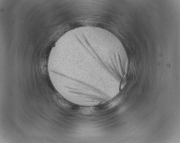 X0000062610671200601181631