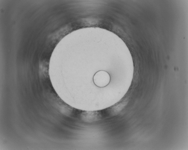 X0000062610672200601181631