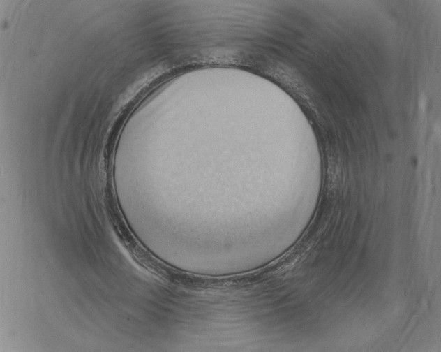 X0000062610674200601181630