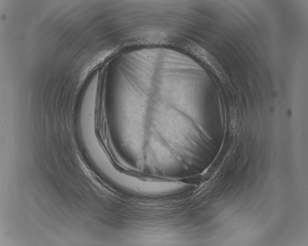 X0000062610677200601181630