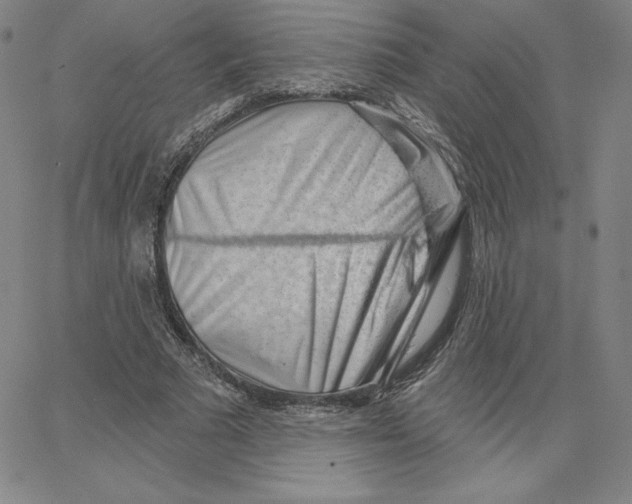 X0000062610681200601181630