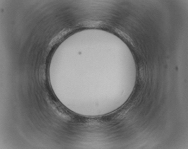 X0000062610682200601181630