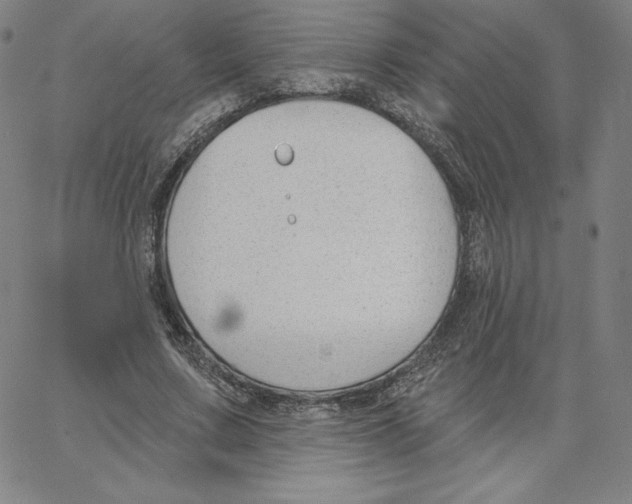 X0000062610683200601181630