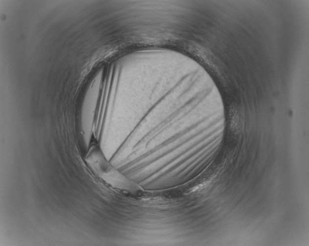 X0000062610685200601181630