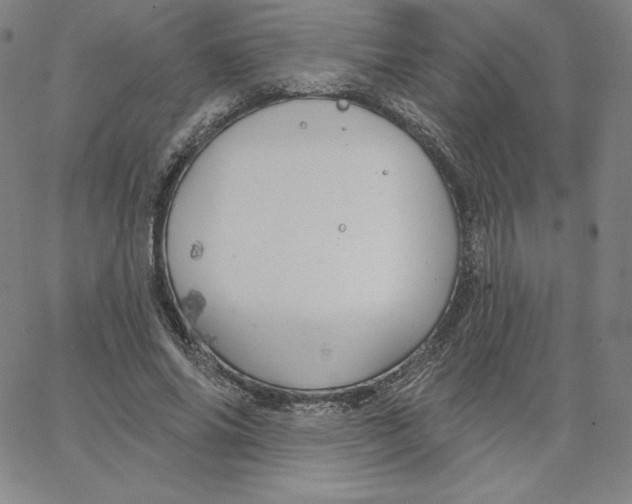 X0000062610686200601181630