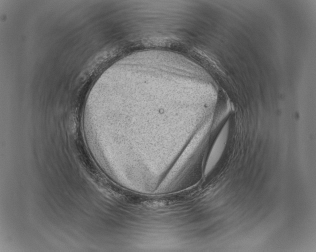 X0000062610687200601181630