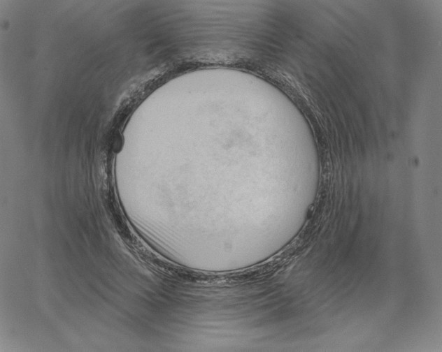 X0000062610688200601181630