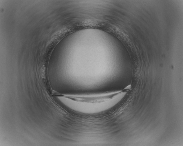 X0000062610689200601181630