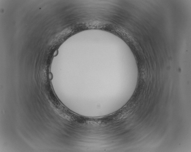 X0000062610690200601181630