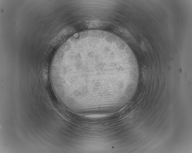 X0000062610691200601181630